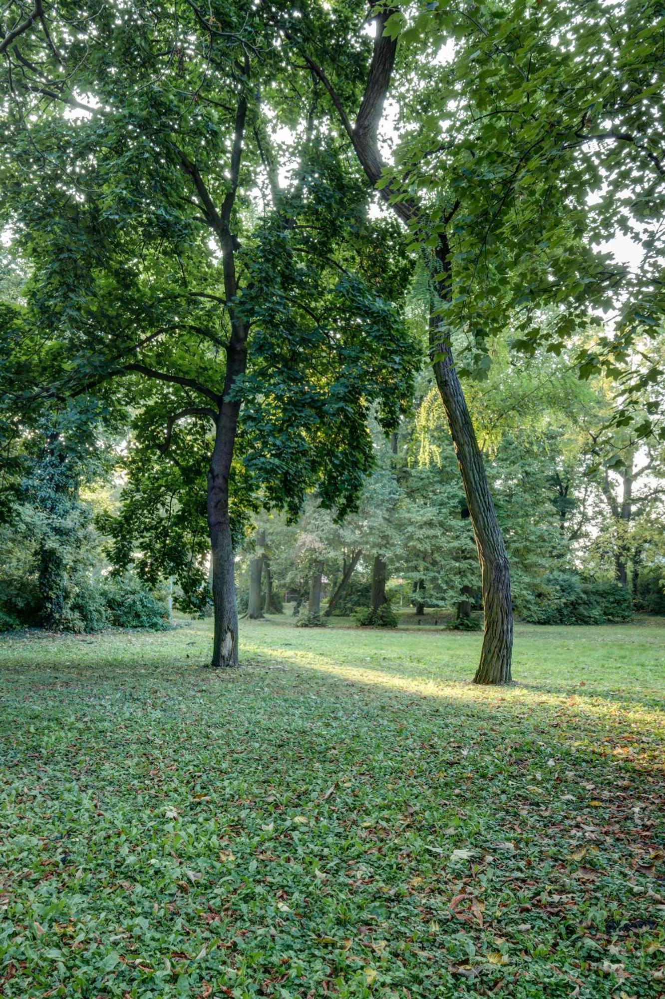 Vila Austerlitz ภายนอก รูปภาพ
